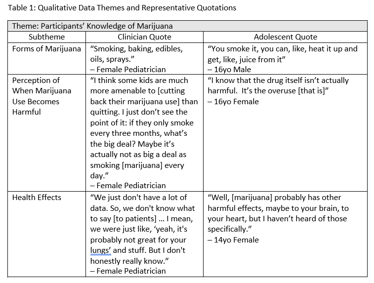 theme 1 participants knowledge of marijuana.png