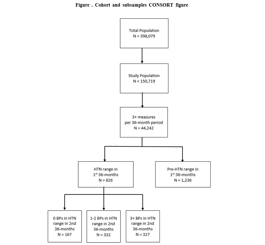 cohort and subsamples consort figure.png